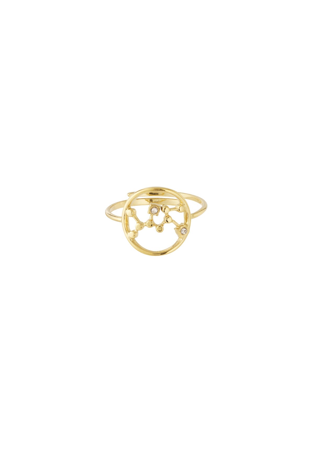 Sternzeichen Ring Edelstahl verstellbar – wasserfester Zodiac Ring Damen - 14 K vergoldet - afHandmade
