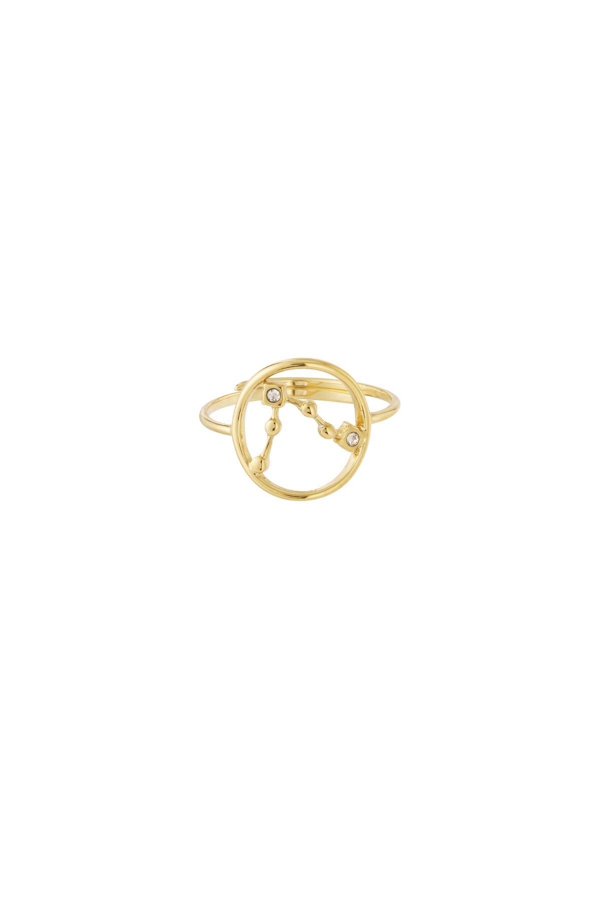 Sternzeichen Ring Edelstahl verstellbar – wasserfester Zodiac Ring Damen - 14 K vergoldet - afHandmade