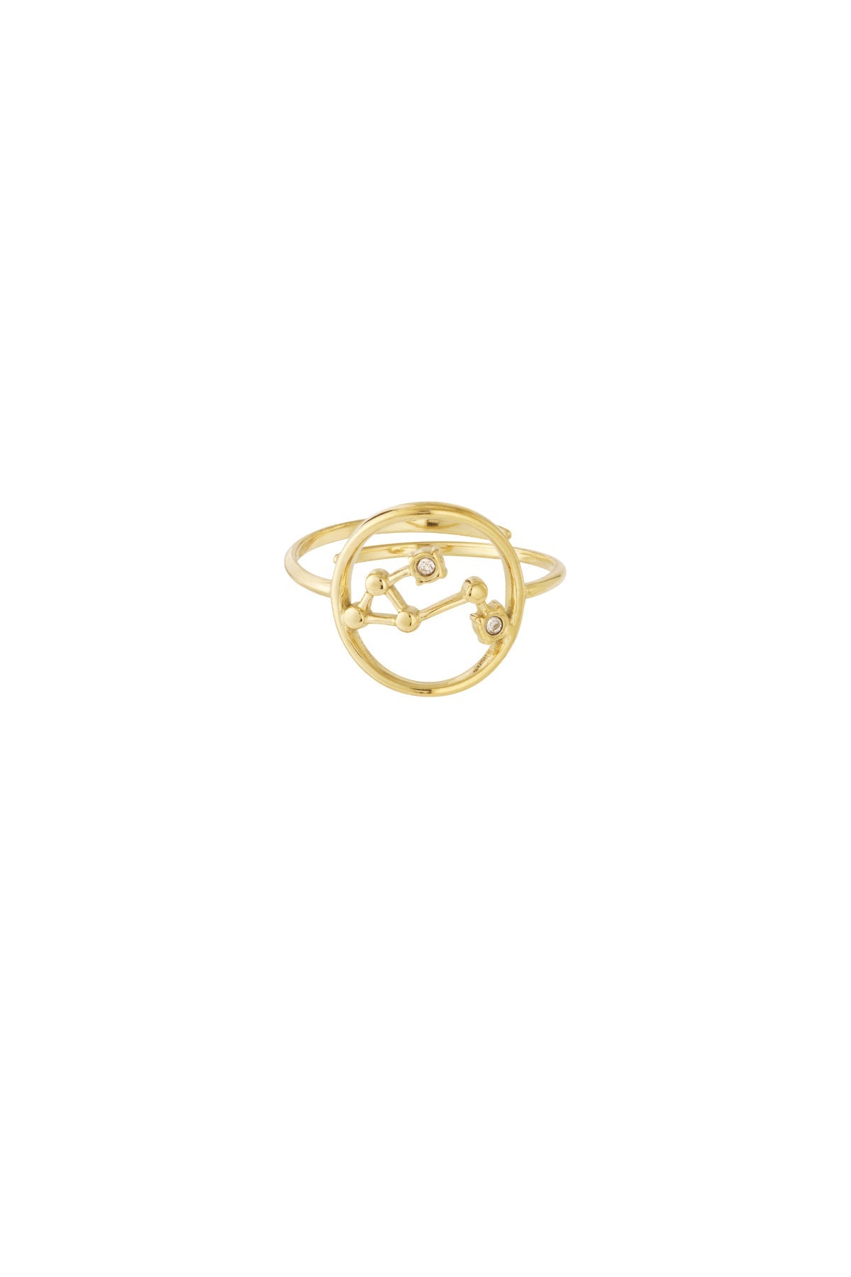 Sternzeichen Ring Edelstahl verstellbar – wasserfester Zodiac Ring Damen - 14 K vergoldet - afHandmade