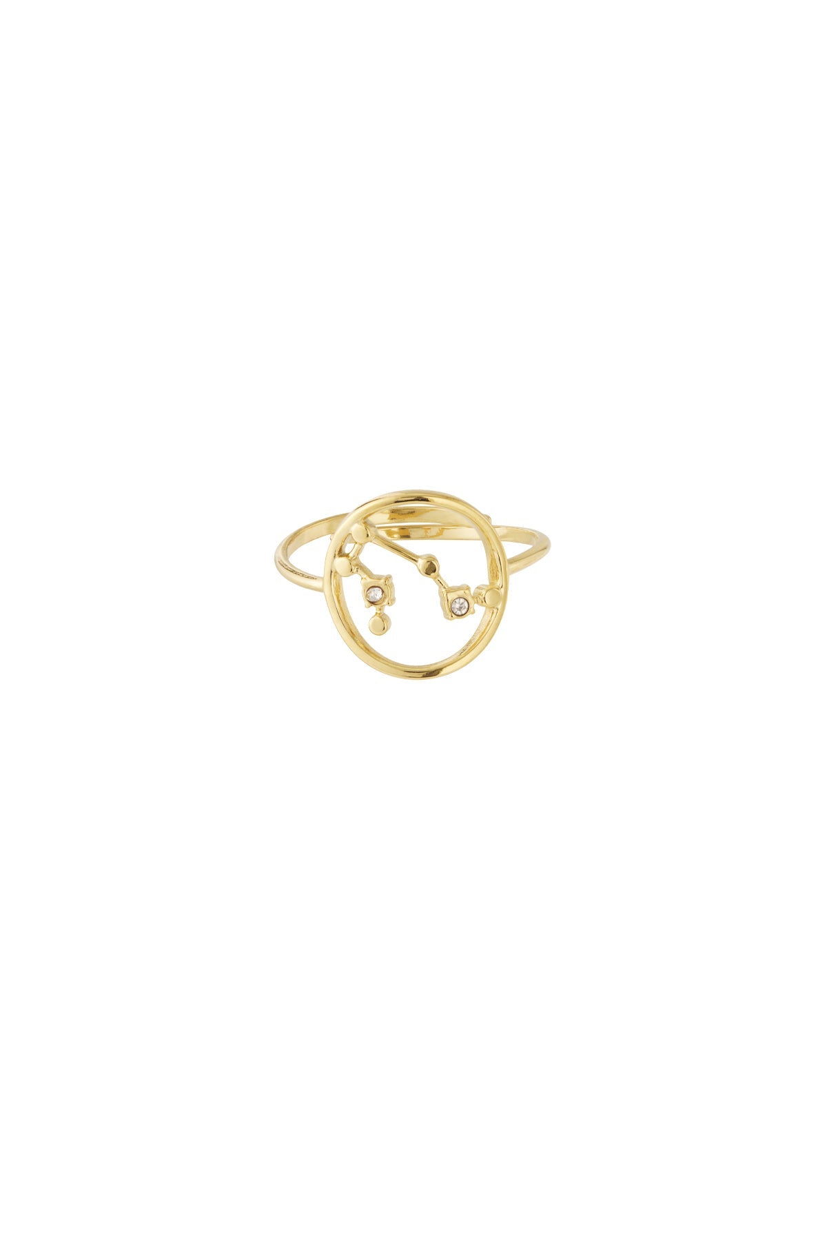 Sternzeichen Ring Edelstahl verstellbar – wasserfester Zodiac Ring Damen - 14 K vergoldet - afHandmade