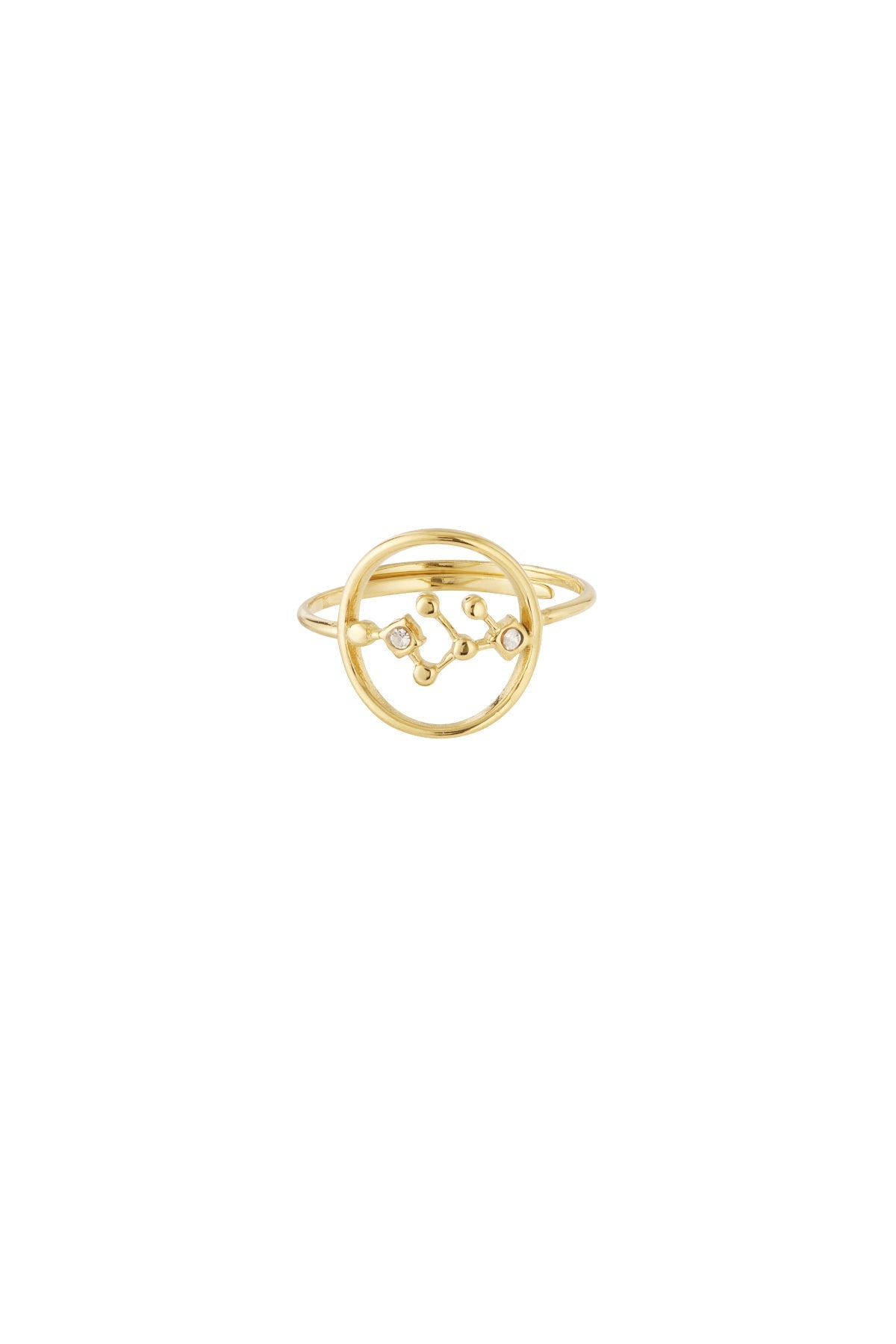Sternzeichen Ring Edelstahl verstellbar – wasserfester Zodiac Ring Damen - 14 K vergoldet - afHandmade