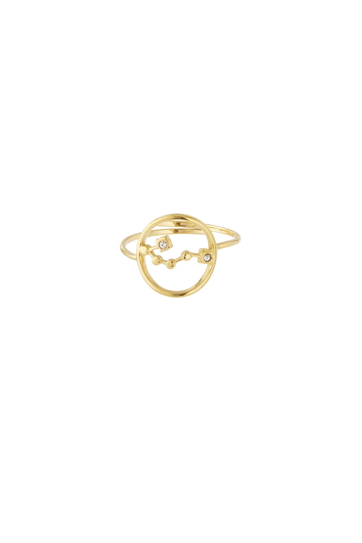 Sternzeichen Ring Edelstahl verstellbar – wasserfester Zodiac Ring Damen - 14 K vergoldet - afHandmade