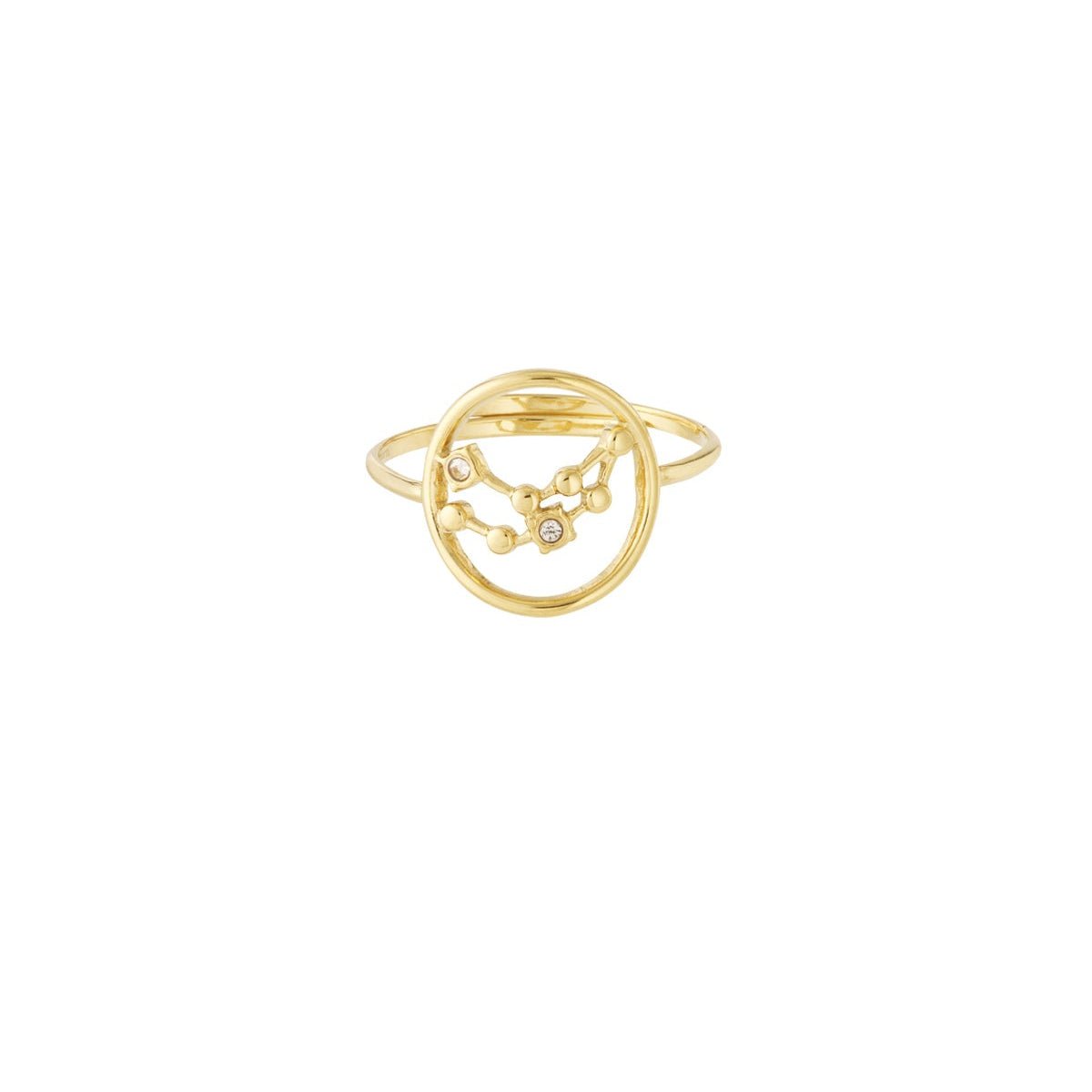 Sternzeichen Ring Edelstahl verstellbar – wasserfester Zodiac Ring Damen - 14 K vergoldet - afHandmade