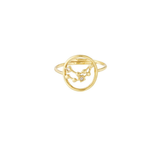 Sternzeichen Ring Edelstahl verstellbar – wasserfester Zodiac Ring Damen - 14 K vergoldet - afHandmade